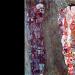 Maonyesho ya Klimt na Schiele: tofauti kati ya sanaa na uchafu