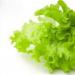 Пченка зелена салата: корисни својства и содржина на калории Пченка зелена салата корисни својства и контраиндикации