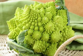 Romanesco cabbage: cultivation, cooking recipes Romanesco cabbage recipes for eating at home