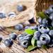 Blueberries pureed na sukari