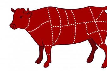 Beefsteak part of the carcass.  Commodity dictionary.  Why do they love beef so much?  How to choose a useful product